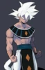 Photo de profil de Ouzair