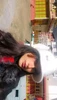 Profile picture of Dimple