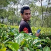 Foto profil Aji Nugroho