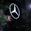 Profile picture of Dennis