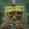 Profile picture of Mhmd