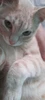 Profile picture of Lina