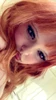 Profile picture of zxia