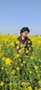 Profile picture of Sarhan