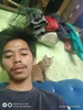 Profile picture of Sigit pamungkas