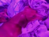 Profile picture of Gayboy