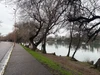 Фото профілю a