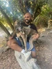 Duab profile ntawm שגיא