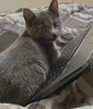 Profile picture of Noname