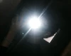 Foto de perfil de Antony Matteo