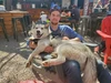 Profile picture of Kyle