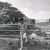 Poto profil Rahul jayakar
