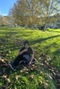 Foto de perfil de Luis