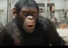 Profile picture of Sergi