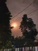Profile picture of Sky