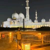Profile picture of Rtu