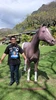Foto de perfil de Nicko