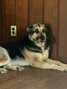 Profile picture of Tommy