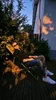 Profile picture of Valentin