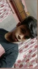Profile picture of Avi
