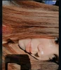 Foto de perfil de Vale