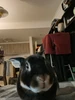 Profile picture of Christian