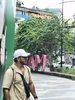 Profile picture of Omer
