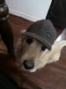Profile picture of Ed